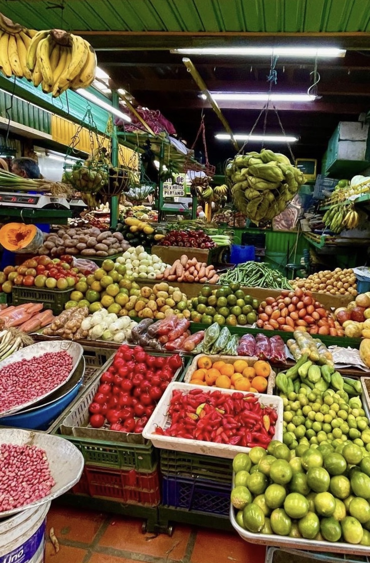 Puesto de frutas exóticas en una plaza de mercado de Medellín con las bicicletas eléctricas de MOVE City Tours