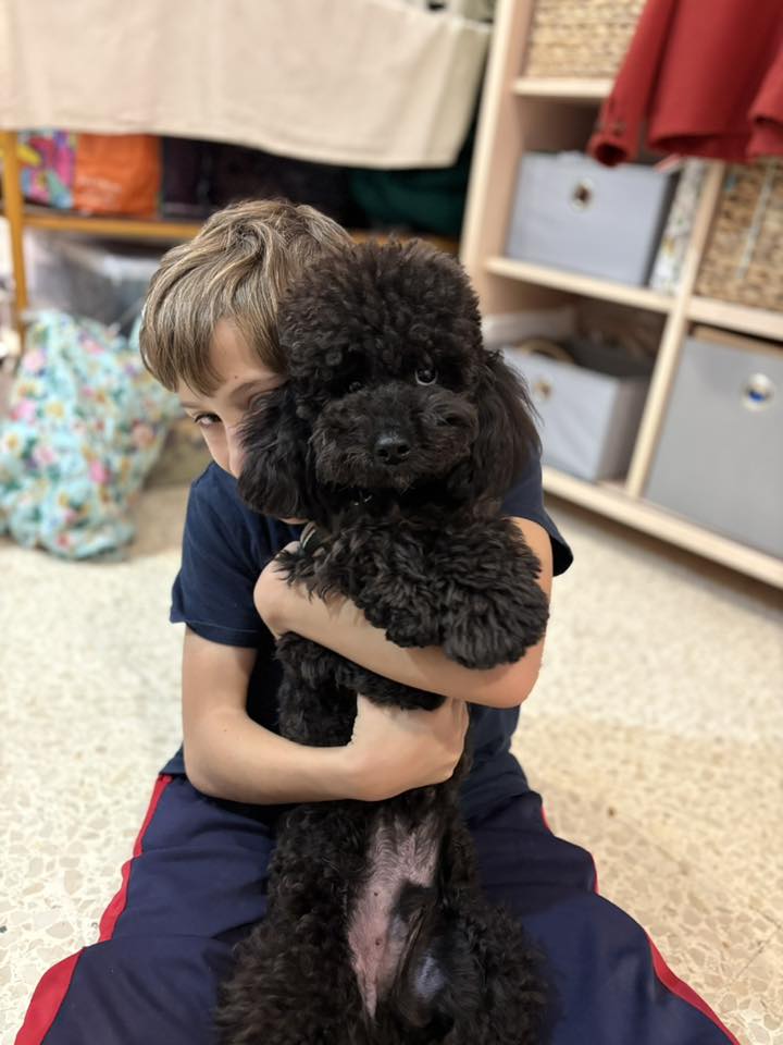 Vetted puppy 10