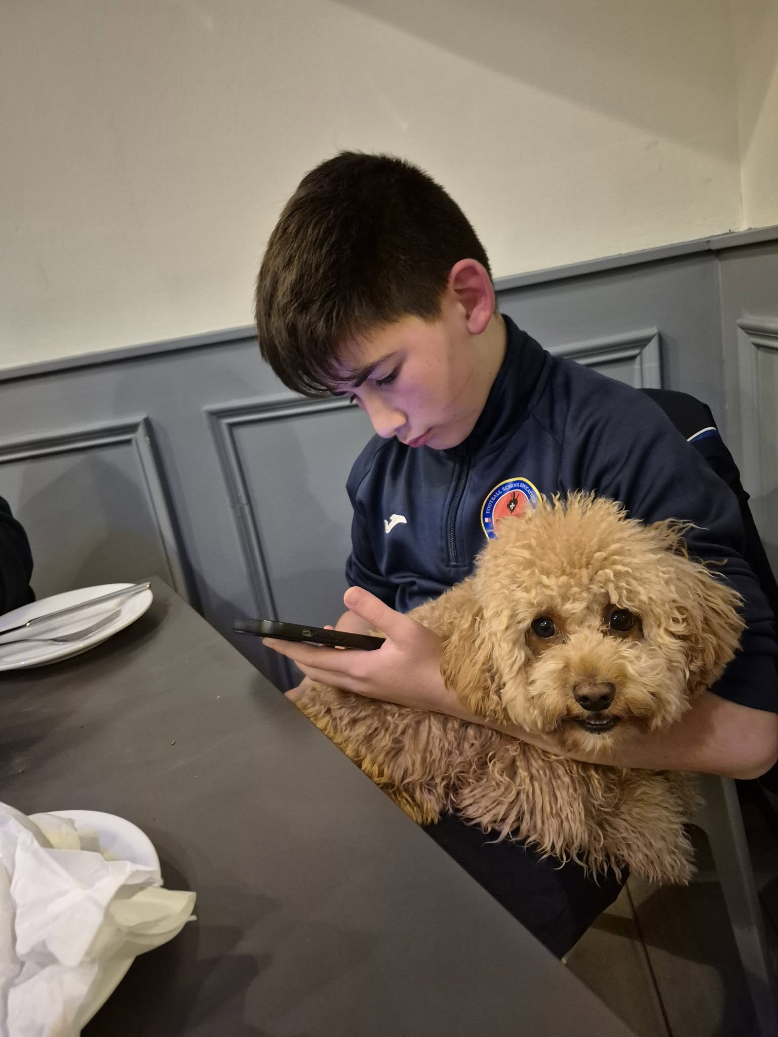 Vetted puppy 1