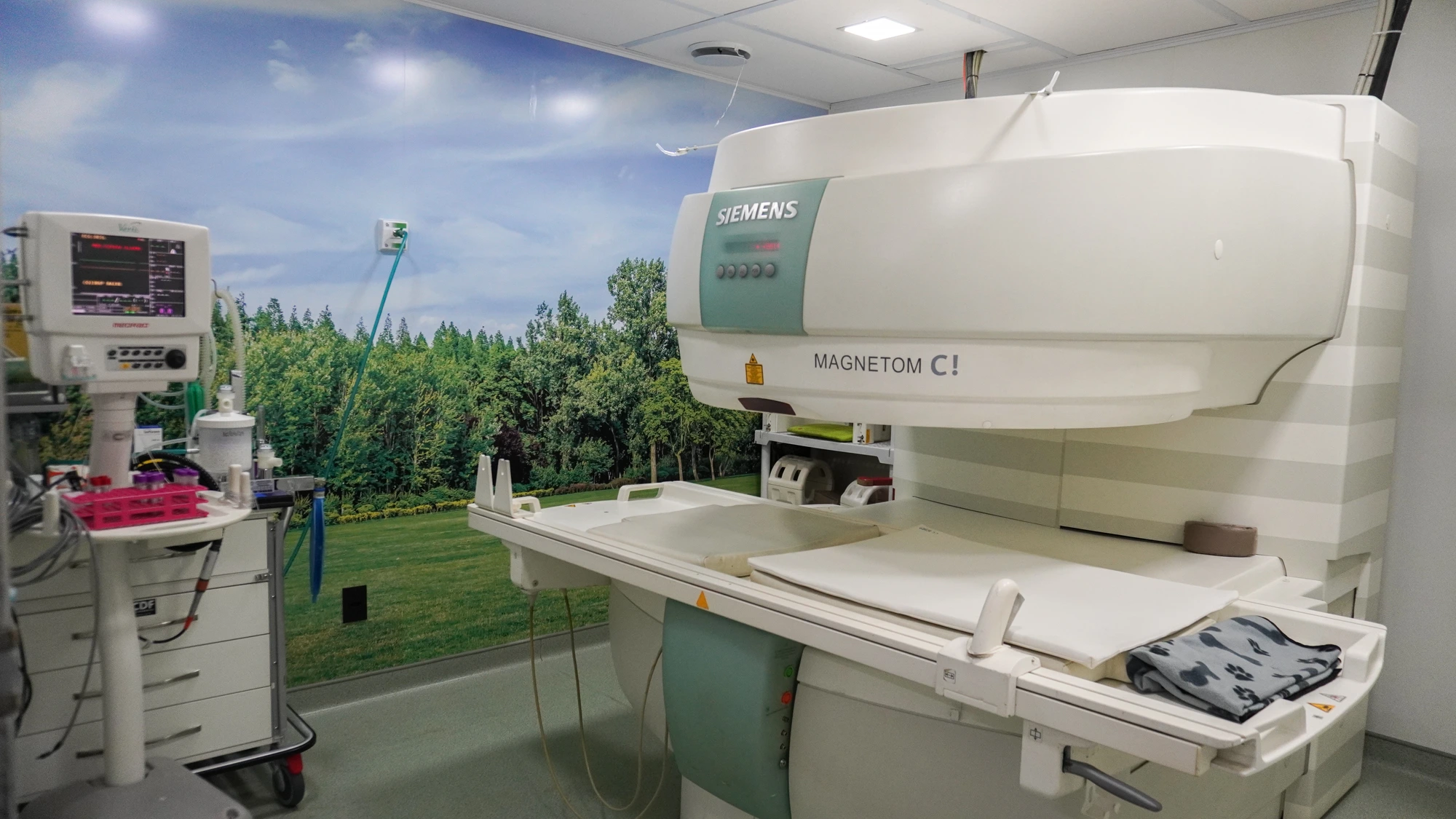 Ressonância Magnética Veterinária