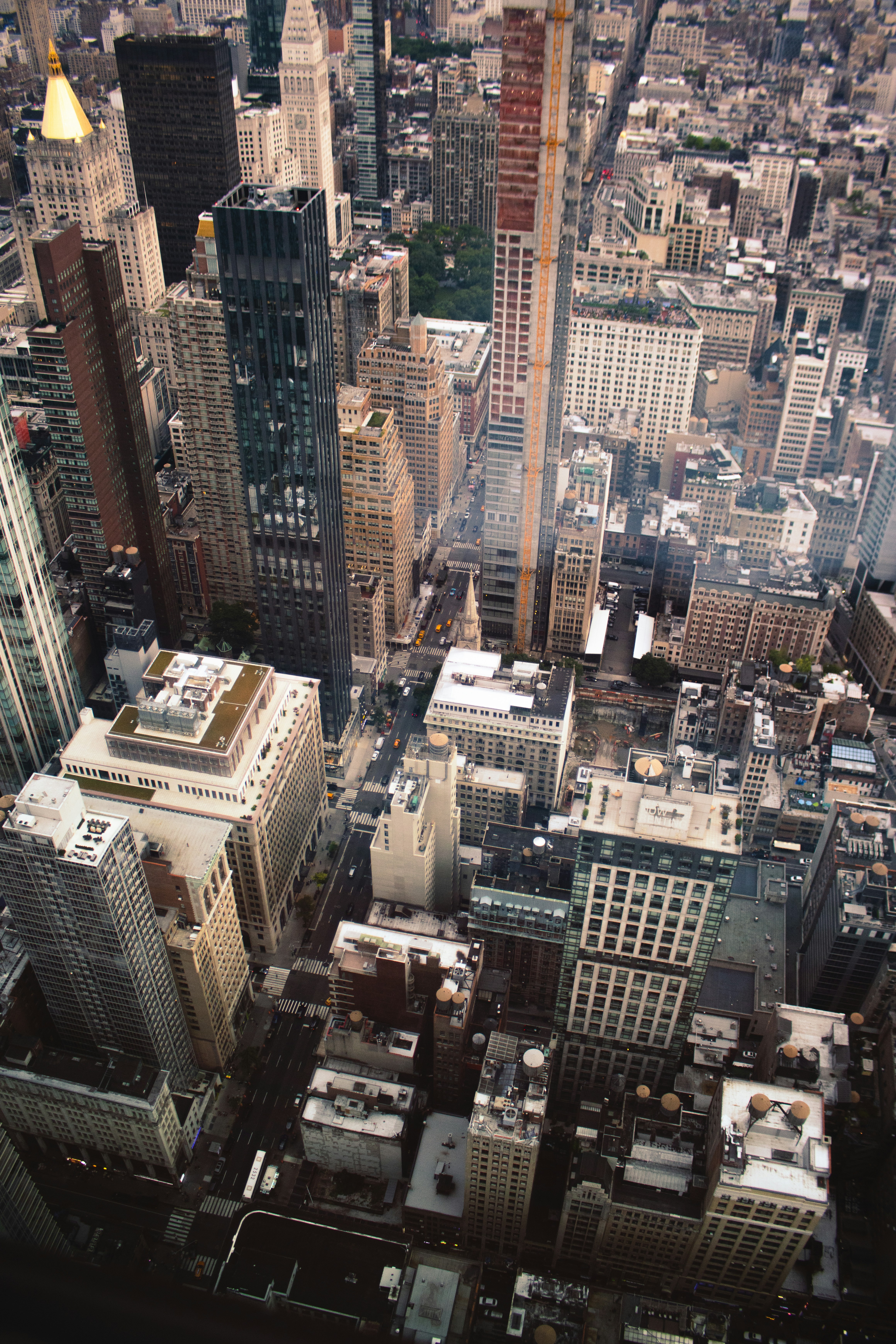 Aerial view of New York City - P&L Management property services