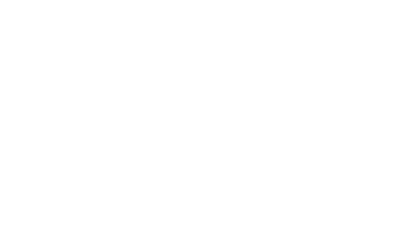 The Name Shops logo