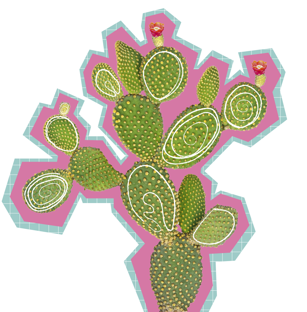 Blue Cactus Digital illustration