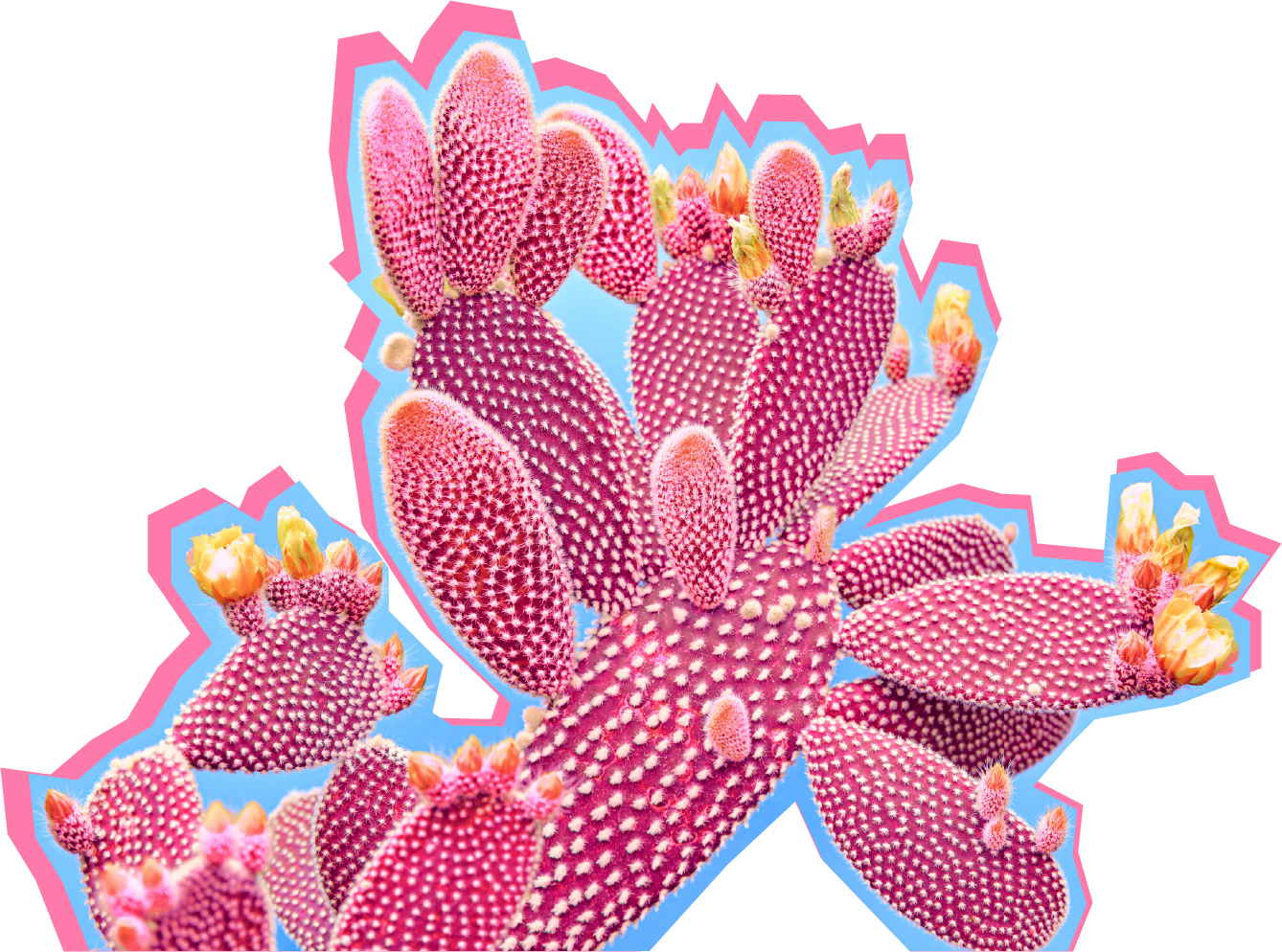 Blue Cactus Digital illustration