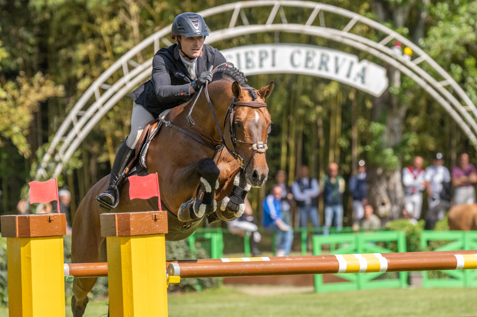 Meet Cape Cod: My Champion Partner