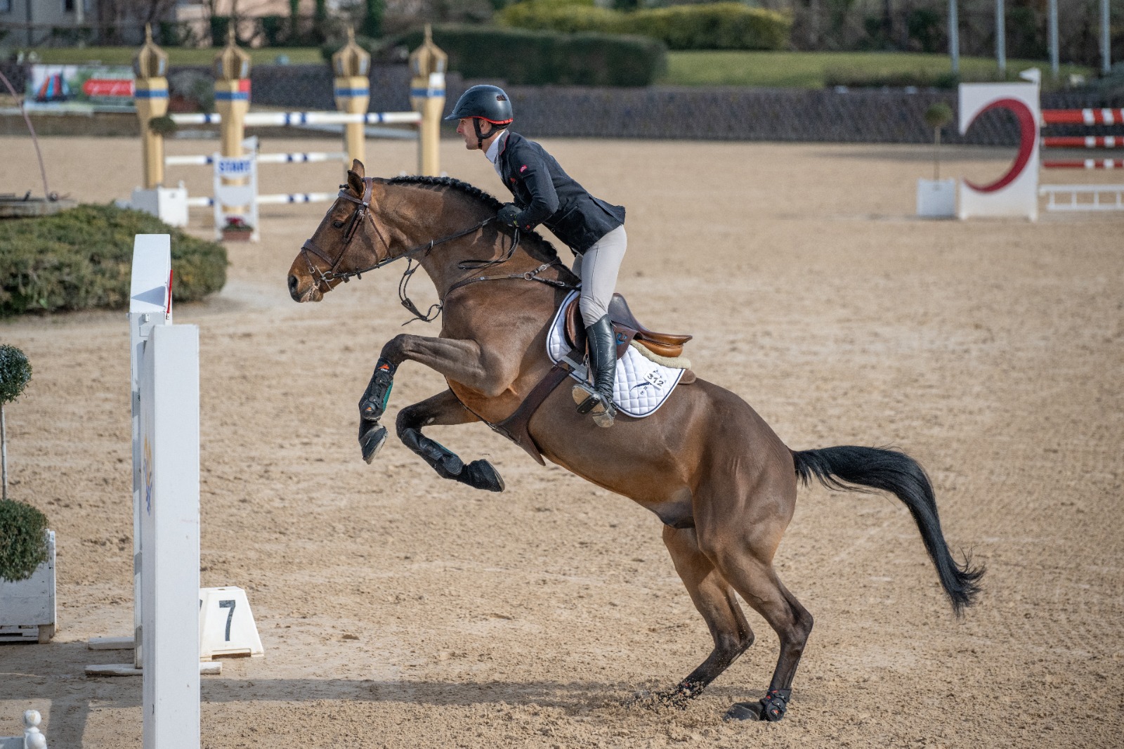 The Road to Grand Prix Success