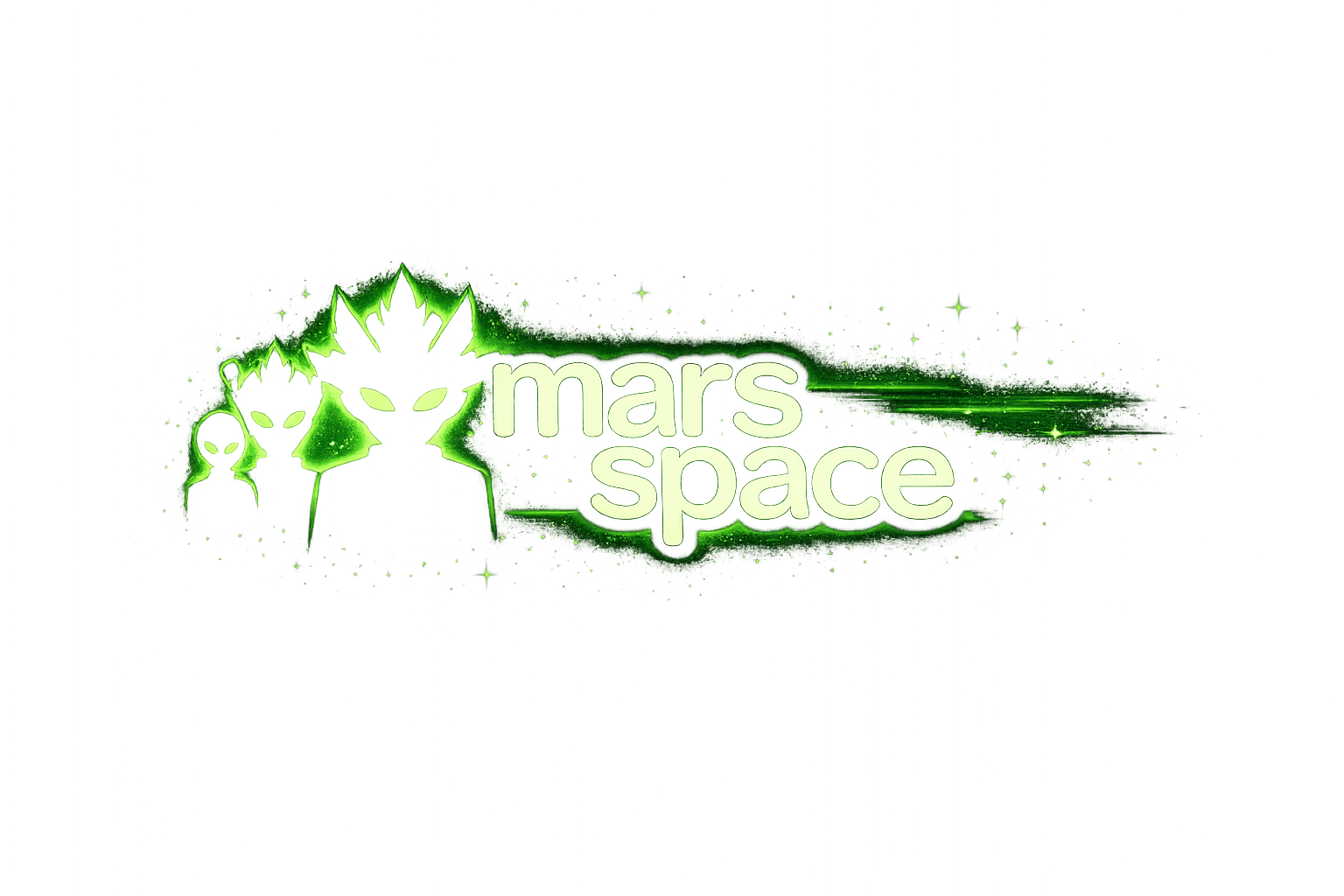 TheMarsSpace
