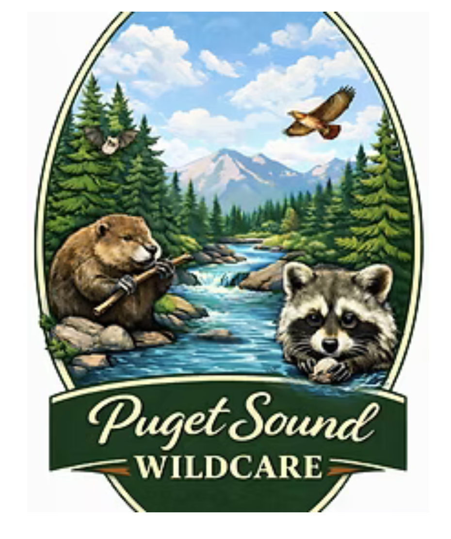 Puget Sound WildCare