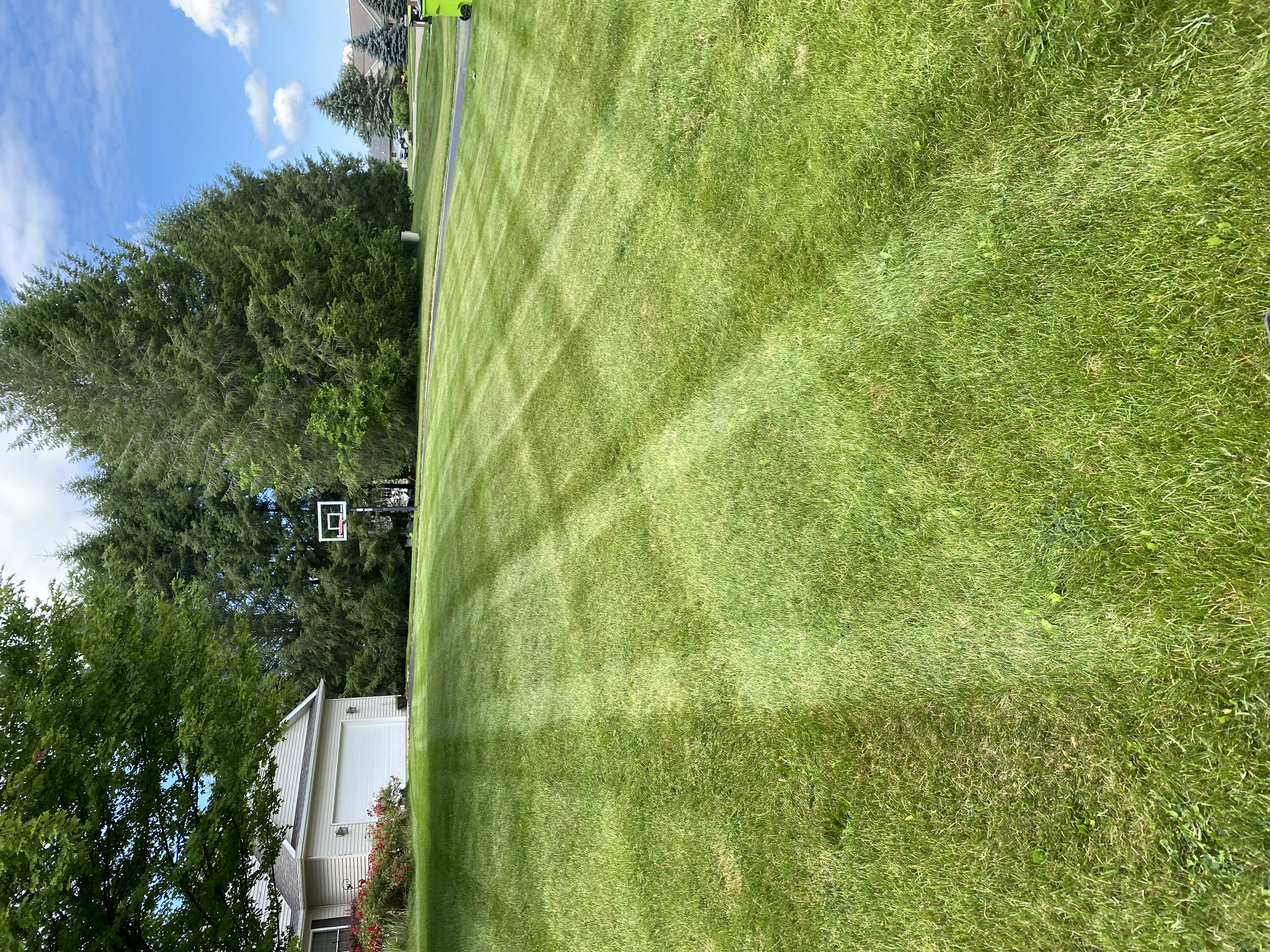 Side yard · stripe + edge