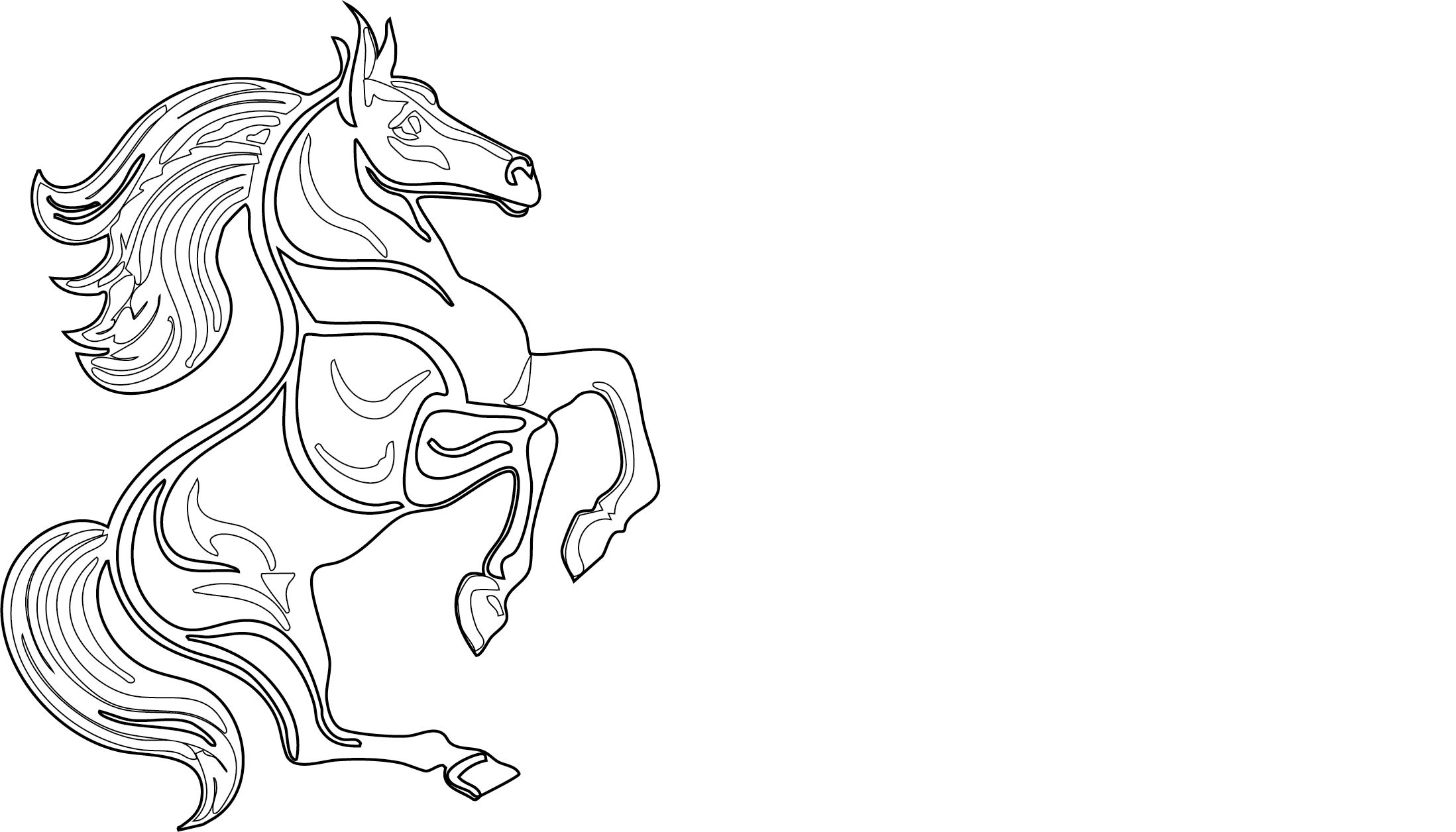 Credys Financial Services - Let's Find a Perfect Solution!