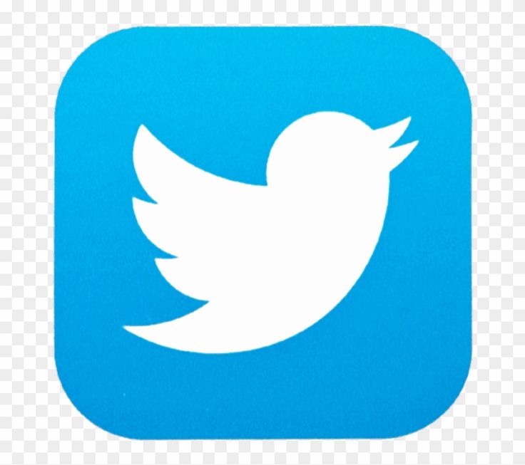X Twitter