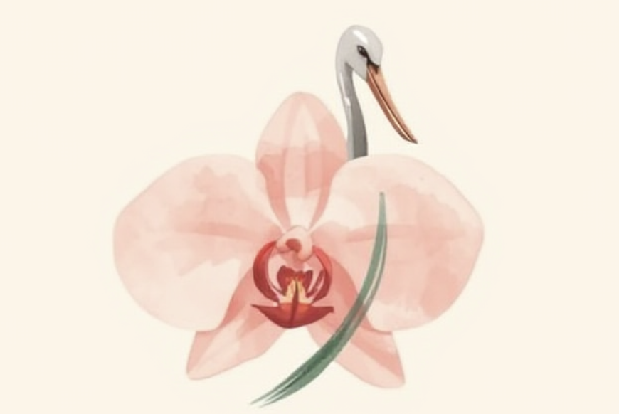 Bayside Birth & Pelvic Health