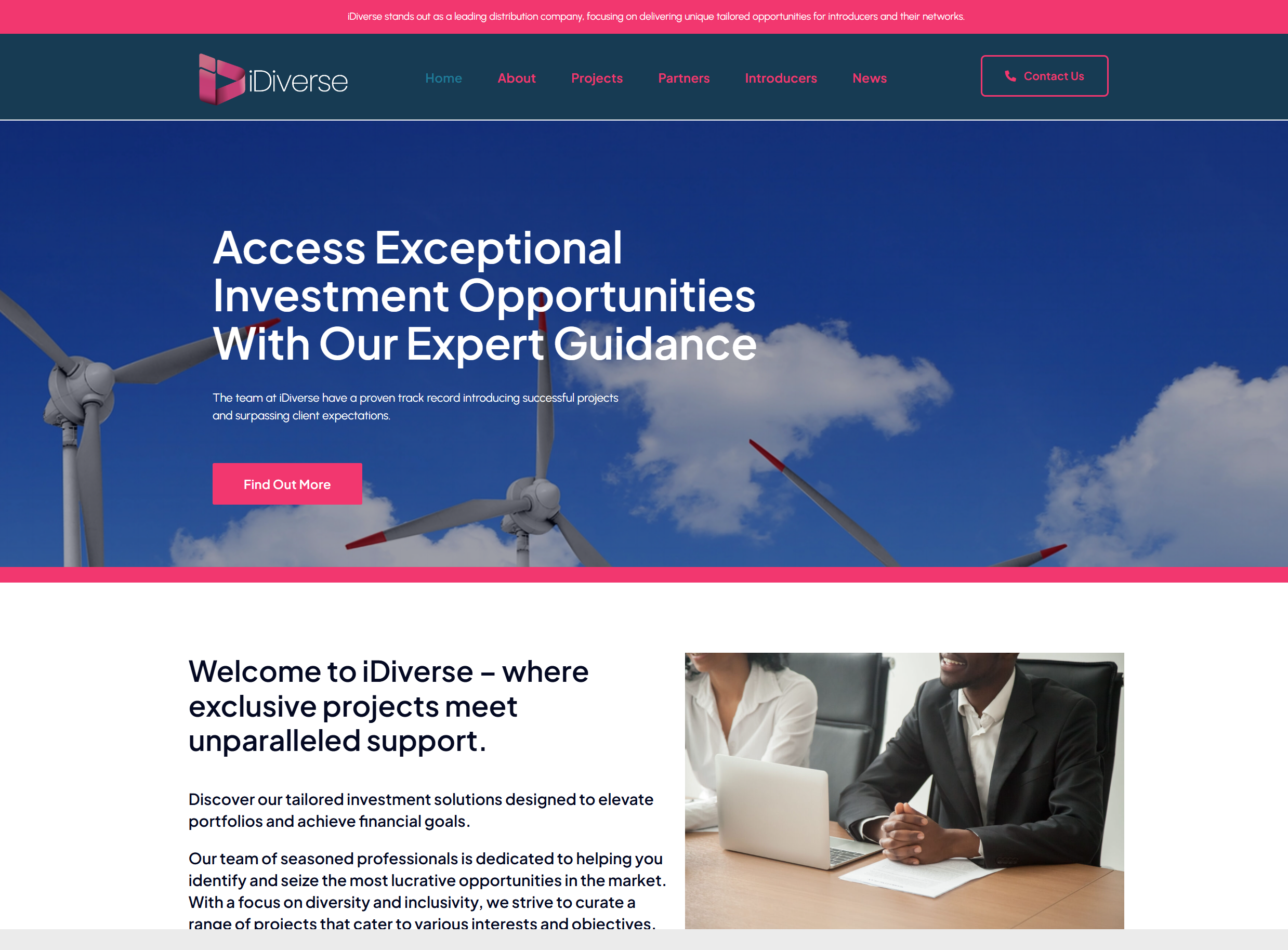iDiverse Investment Platform