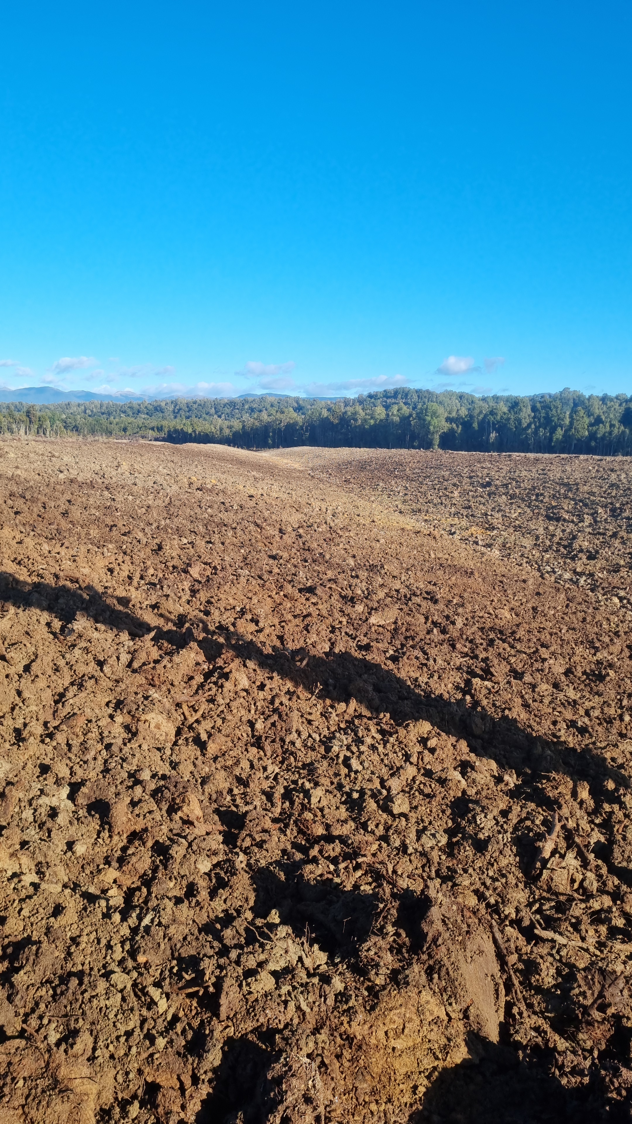 Cleared and contoured paddock after land clearing, West Coast NZ