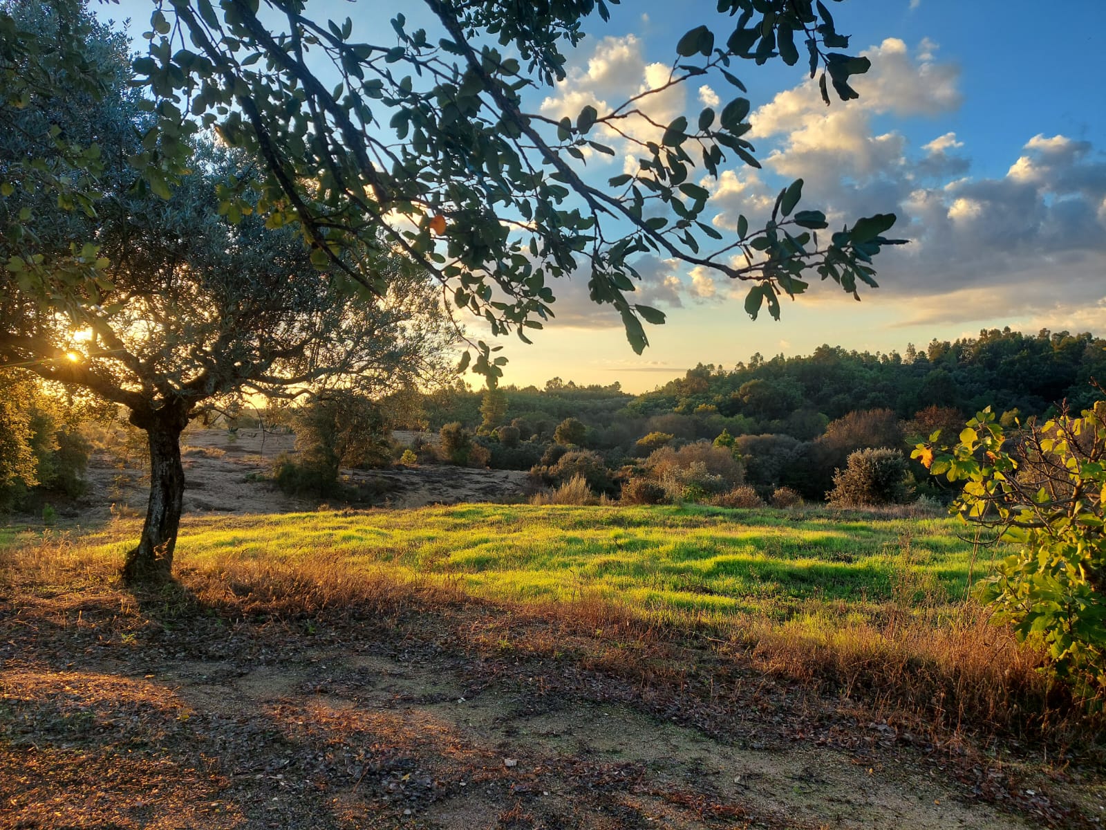 Limiar — off-grid stays and retreats in central Portugal