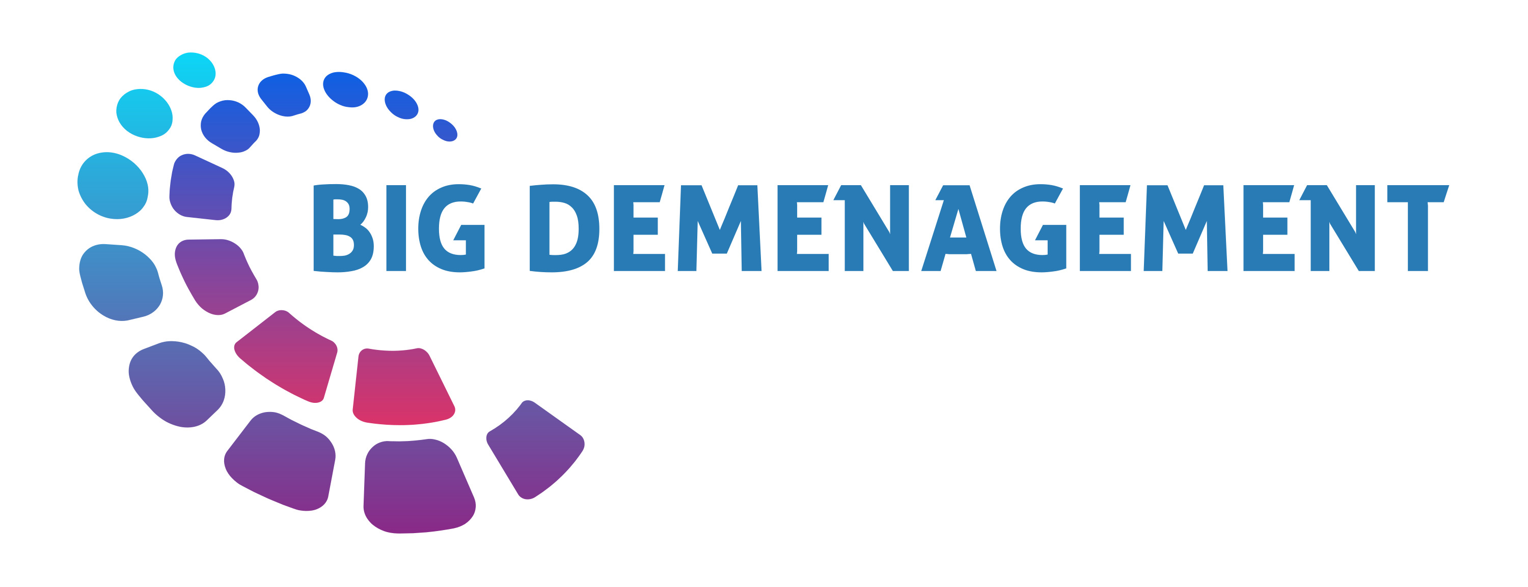 Logo Big Déménagement