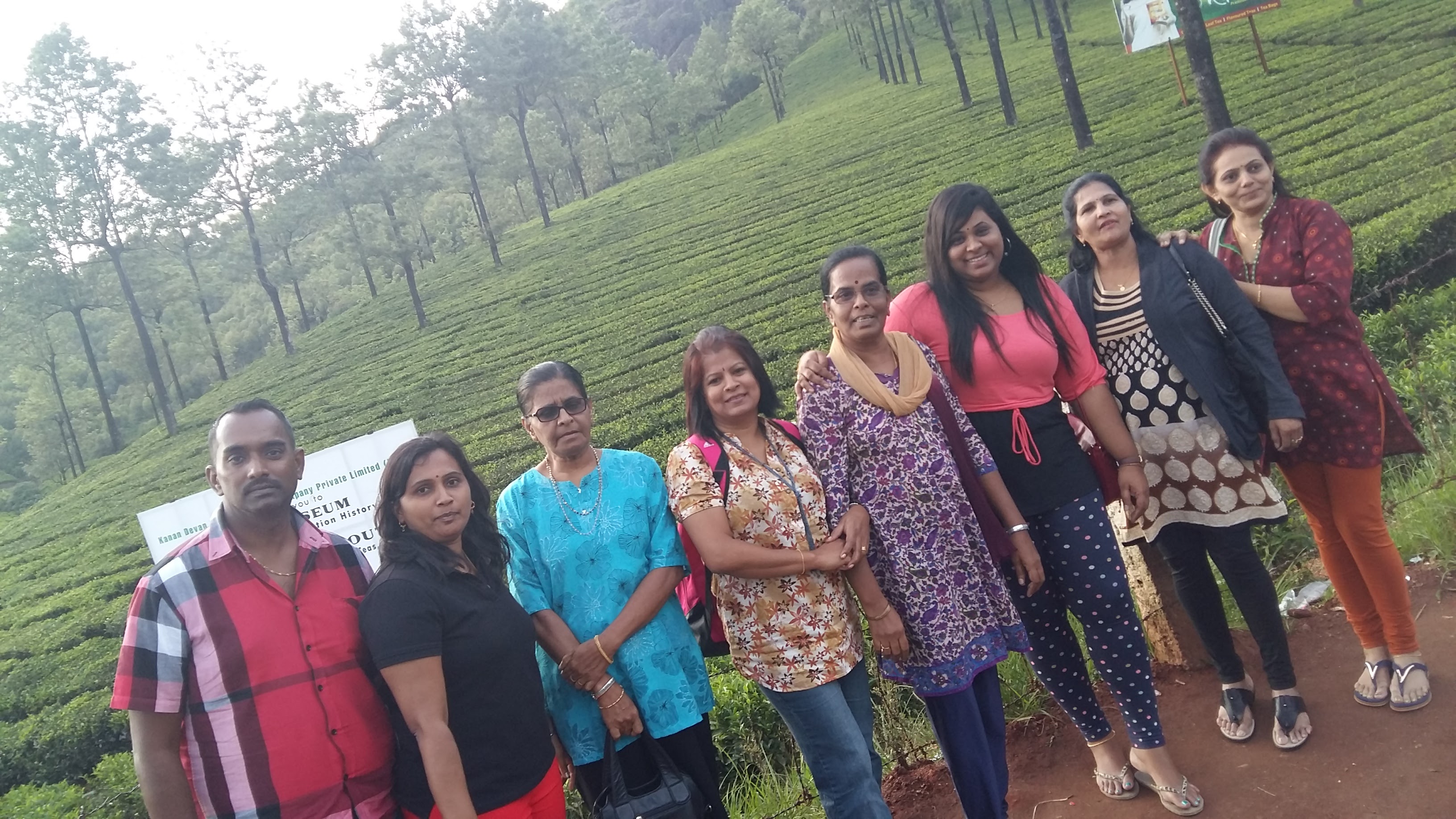 Munnar Tea Plantation