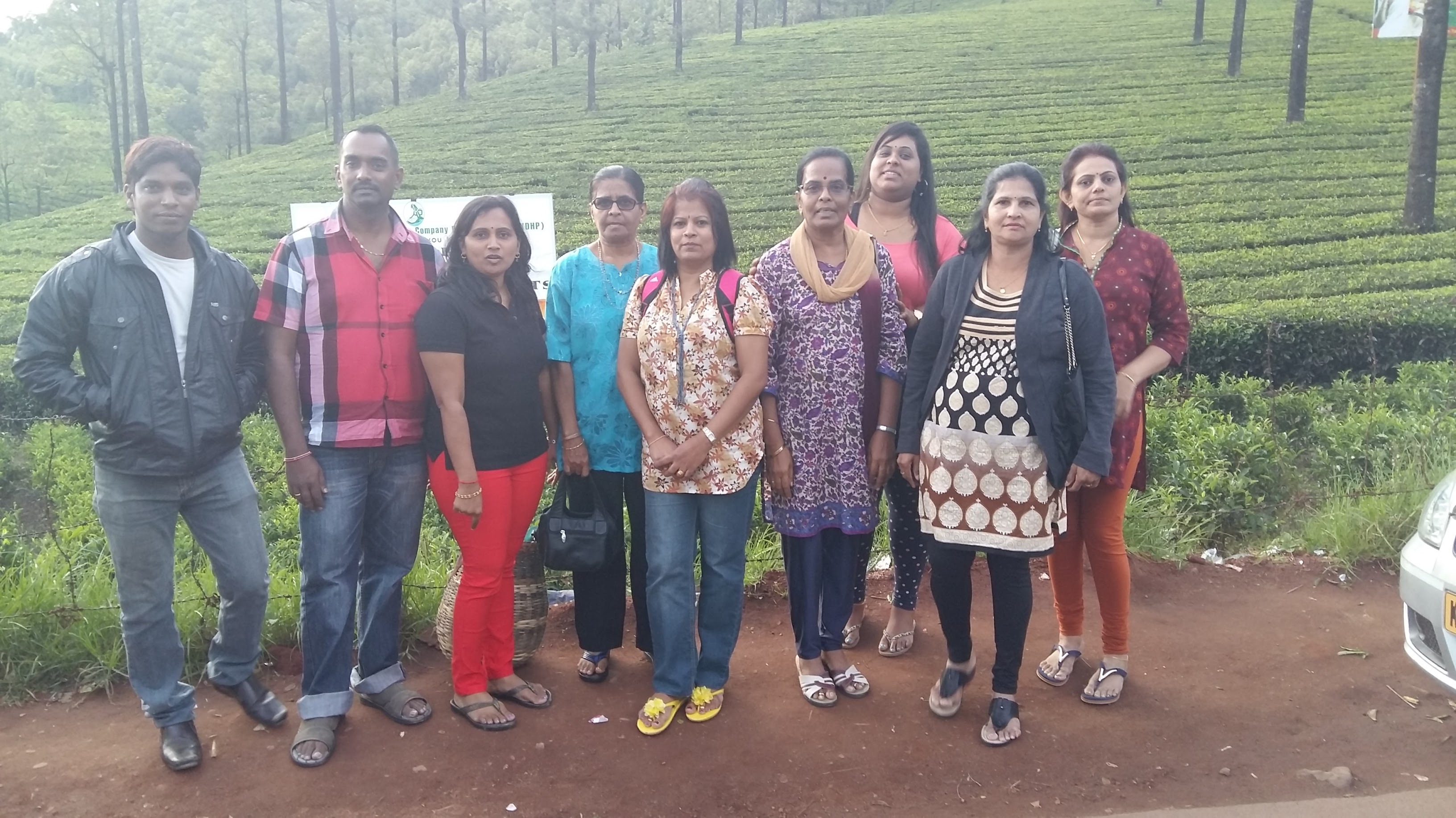 Kerala Tea Plantation