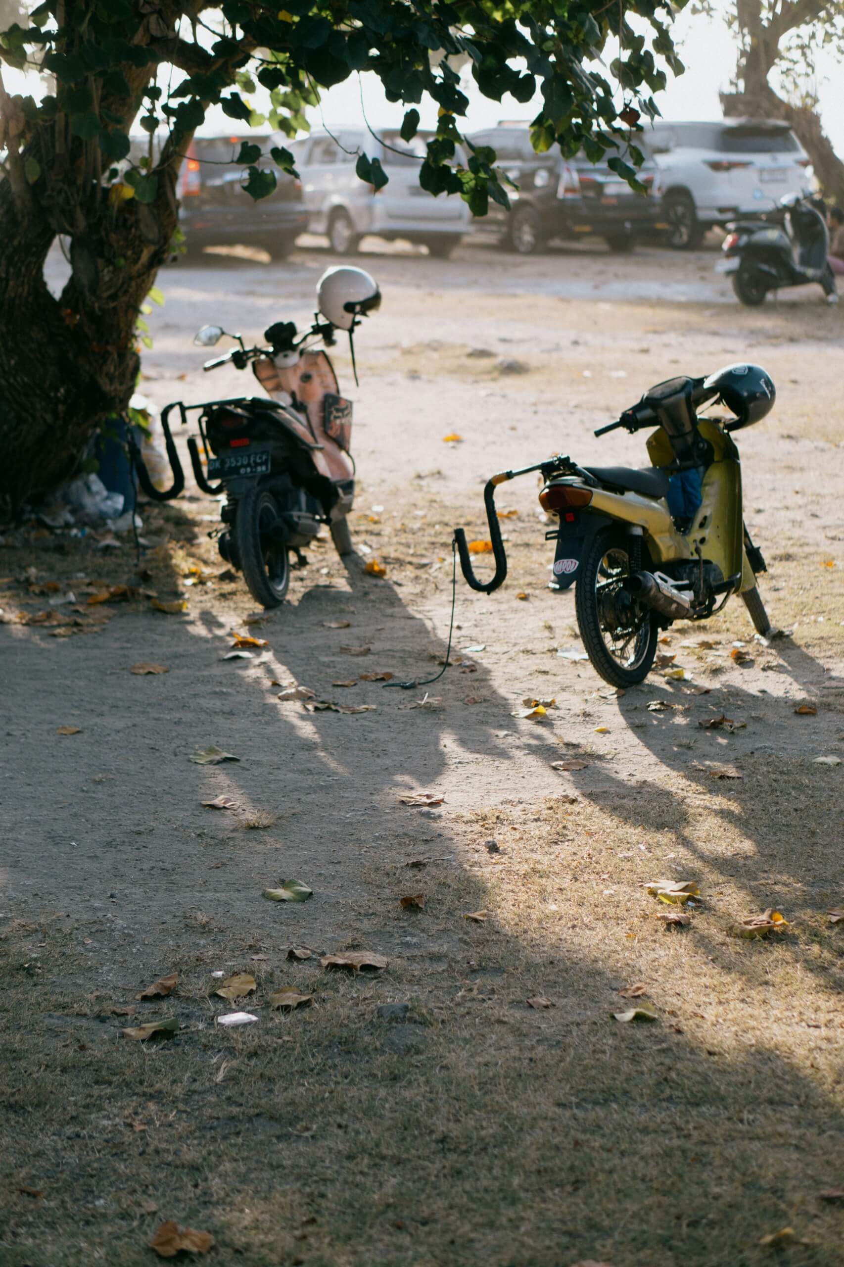 Renting a Scooter in Bali — Surfboard Rack, Insurance, Reality