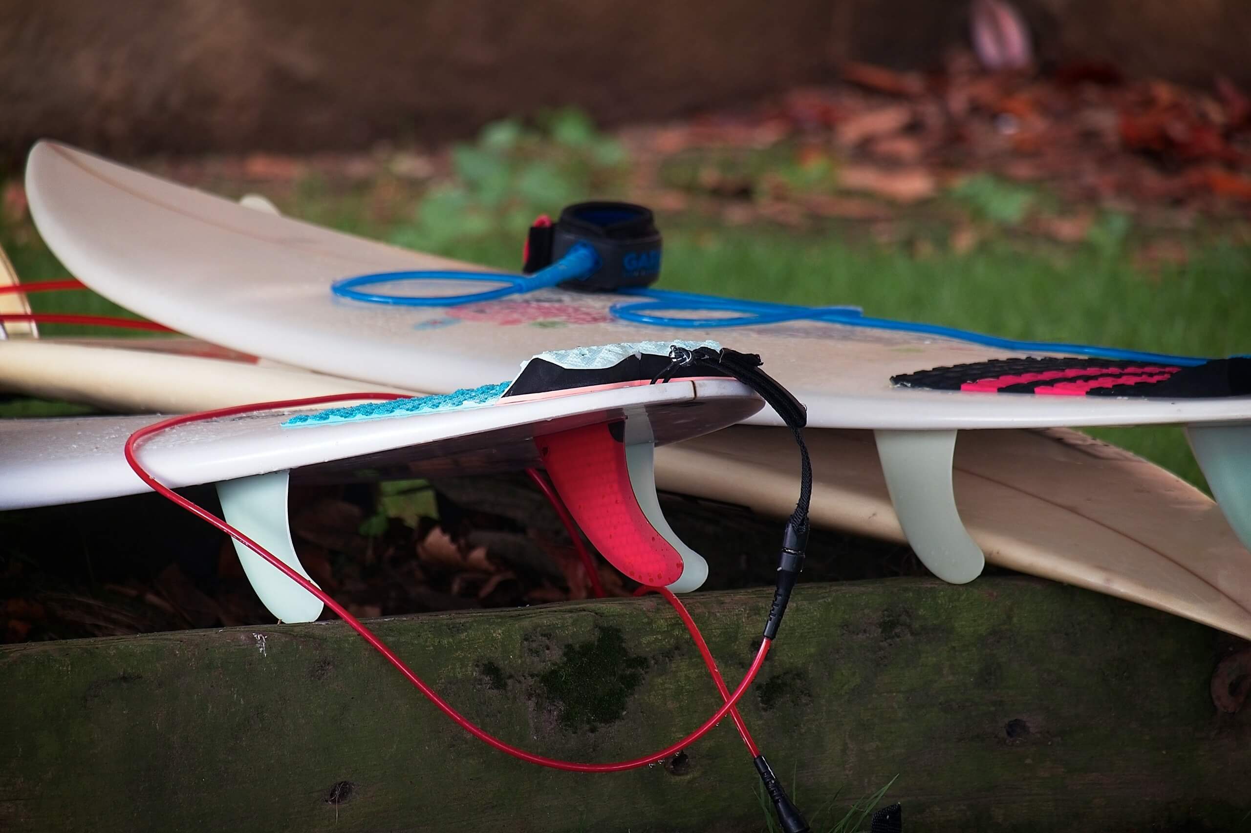 Leash Care, Wax Combs & the Small Things That Save Sessions
