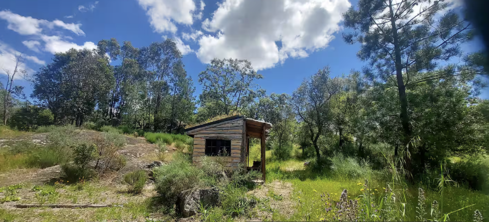 The tiny house among the trees