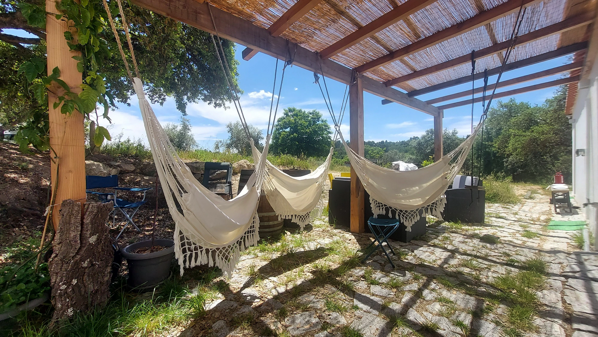 Three white hammocks with fringed ends hanging under a wooden pergola with a cane roof at Limiar, olive trees and a bright blue sky in the background — a quiet invitation to rest