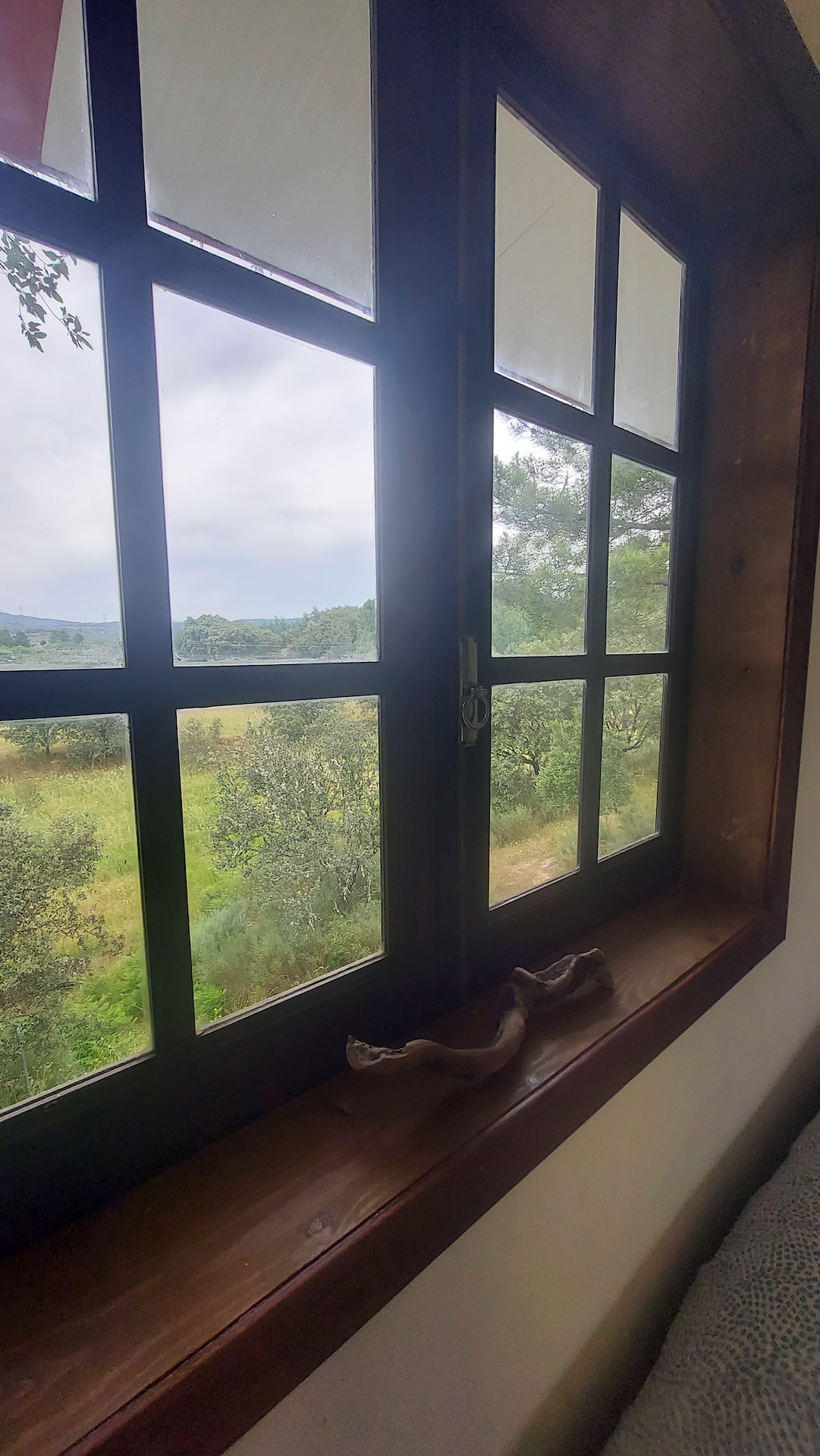 A window opening onto the olive grove
