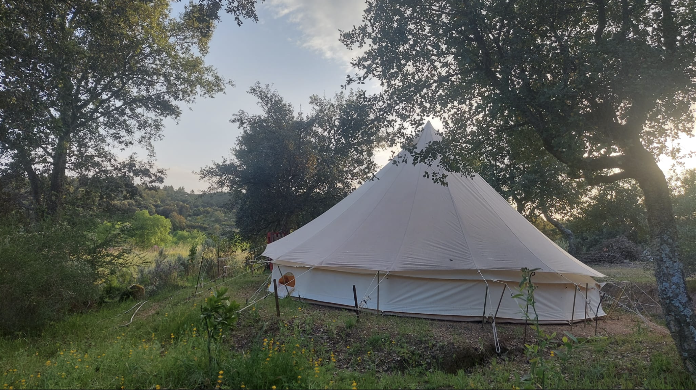 Bell tent at golden hour