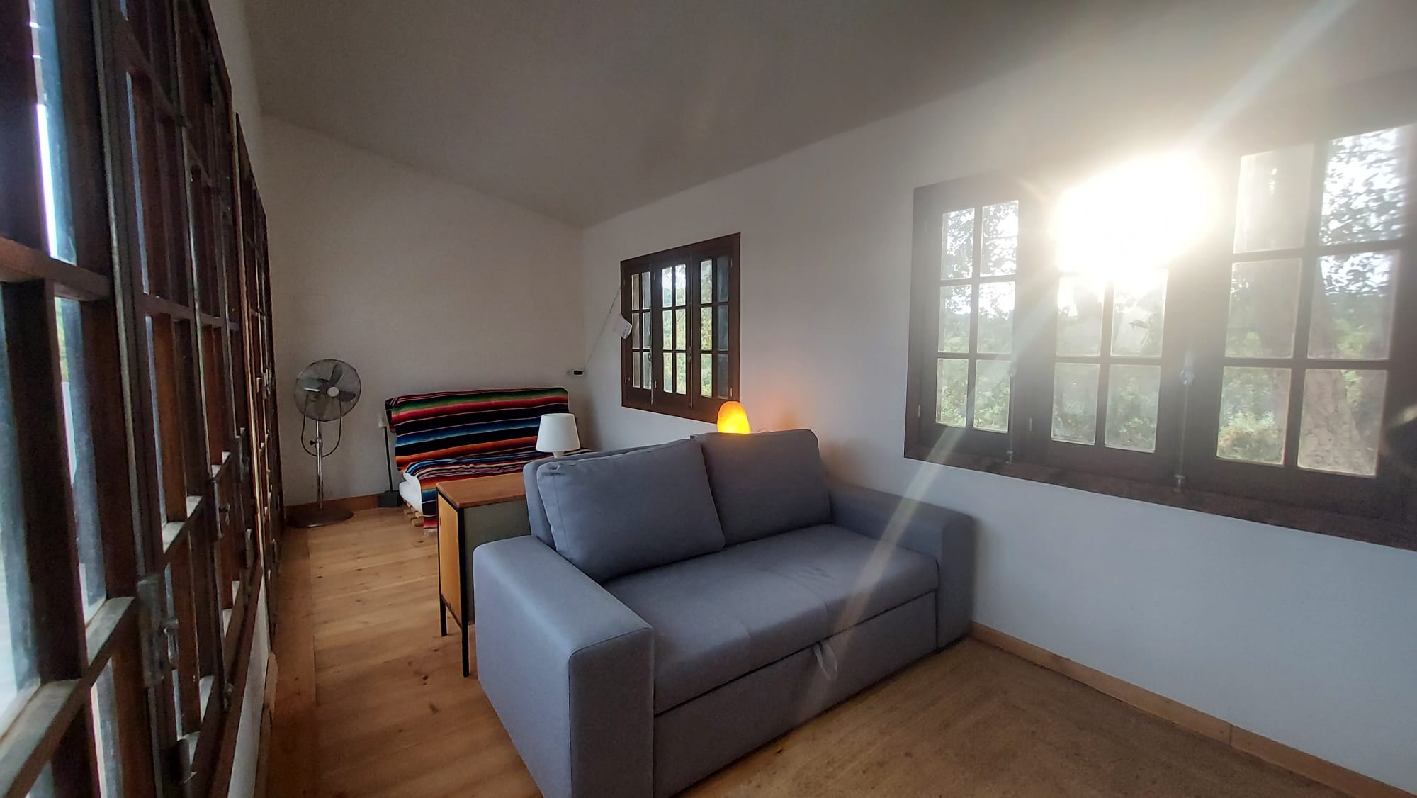 A wide window onto the trees