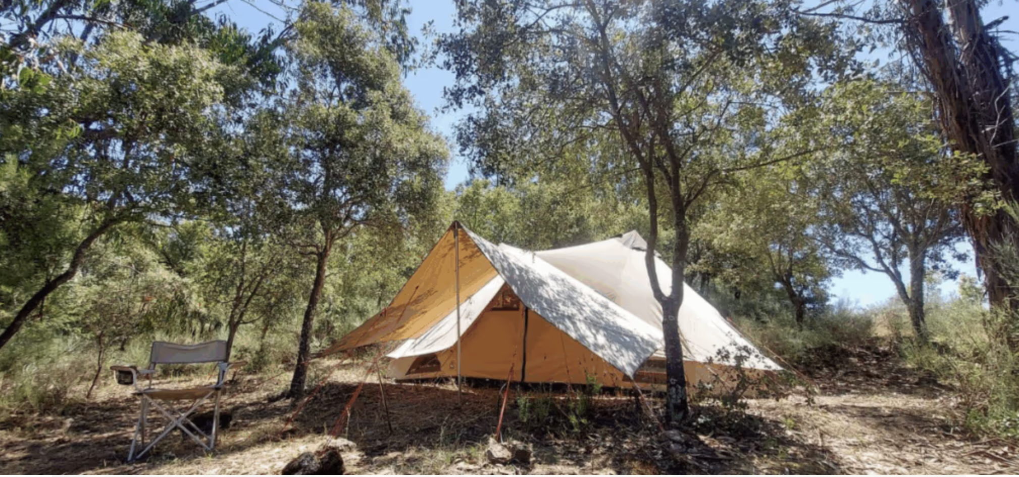 Bell tent among the trees