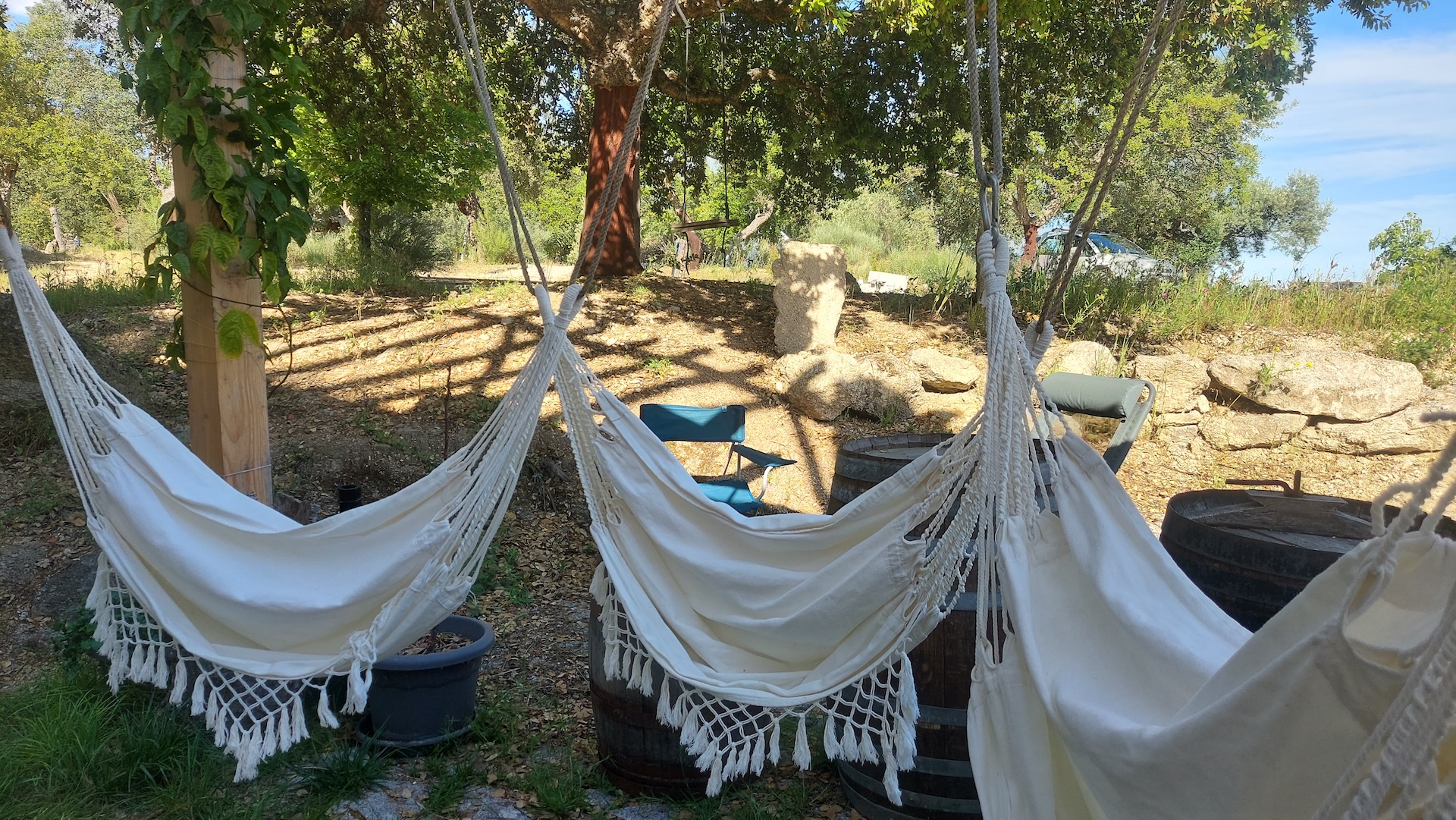 Hammocks under the cork oaks