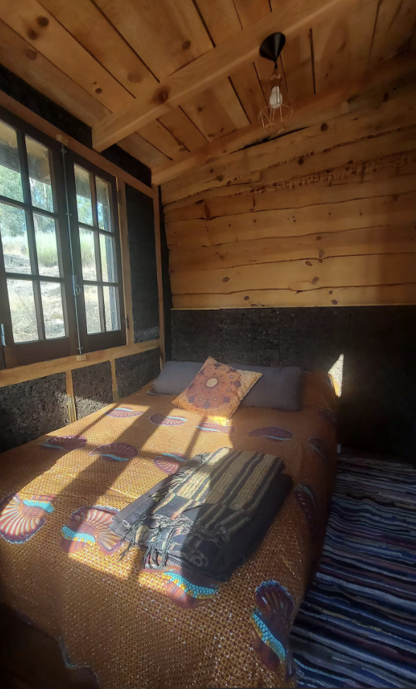 Inside — warm wood and morning light
