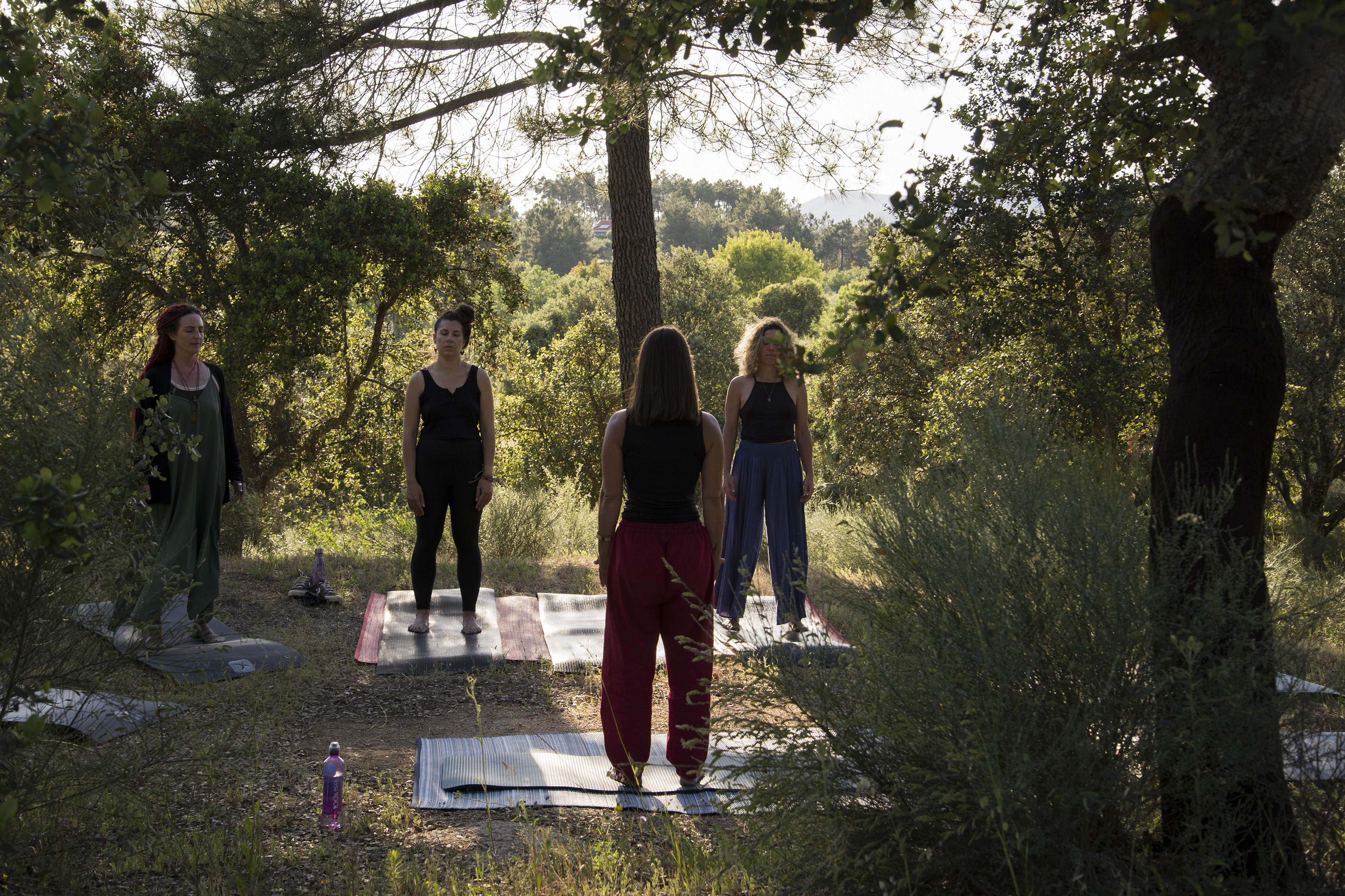 A small group standing in a meditation practice in a sunlit forest clearing at Limiar