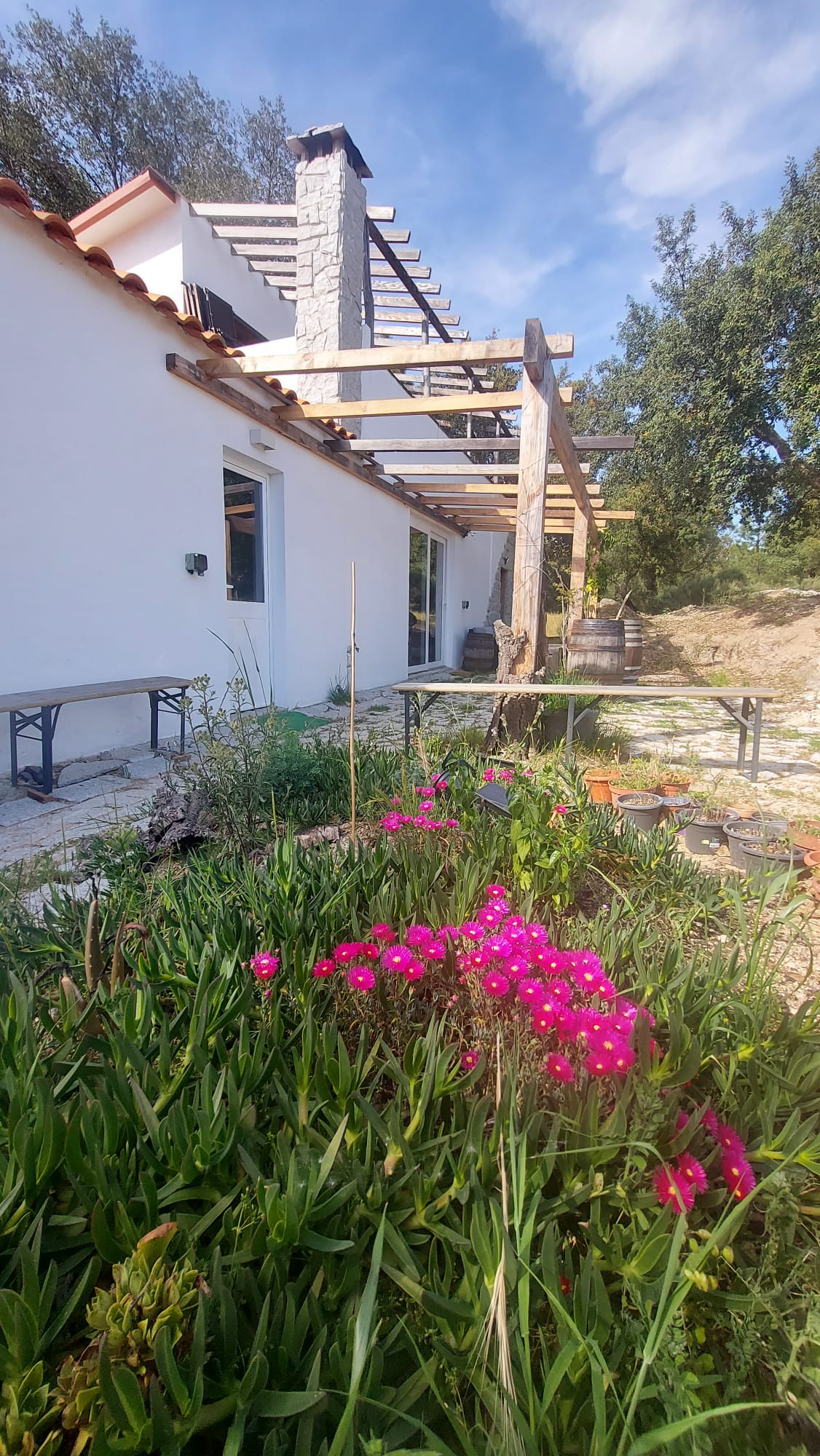 The house in spring bloom