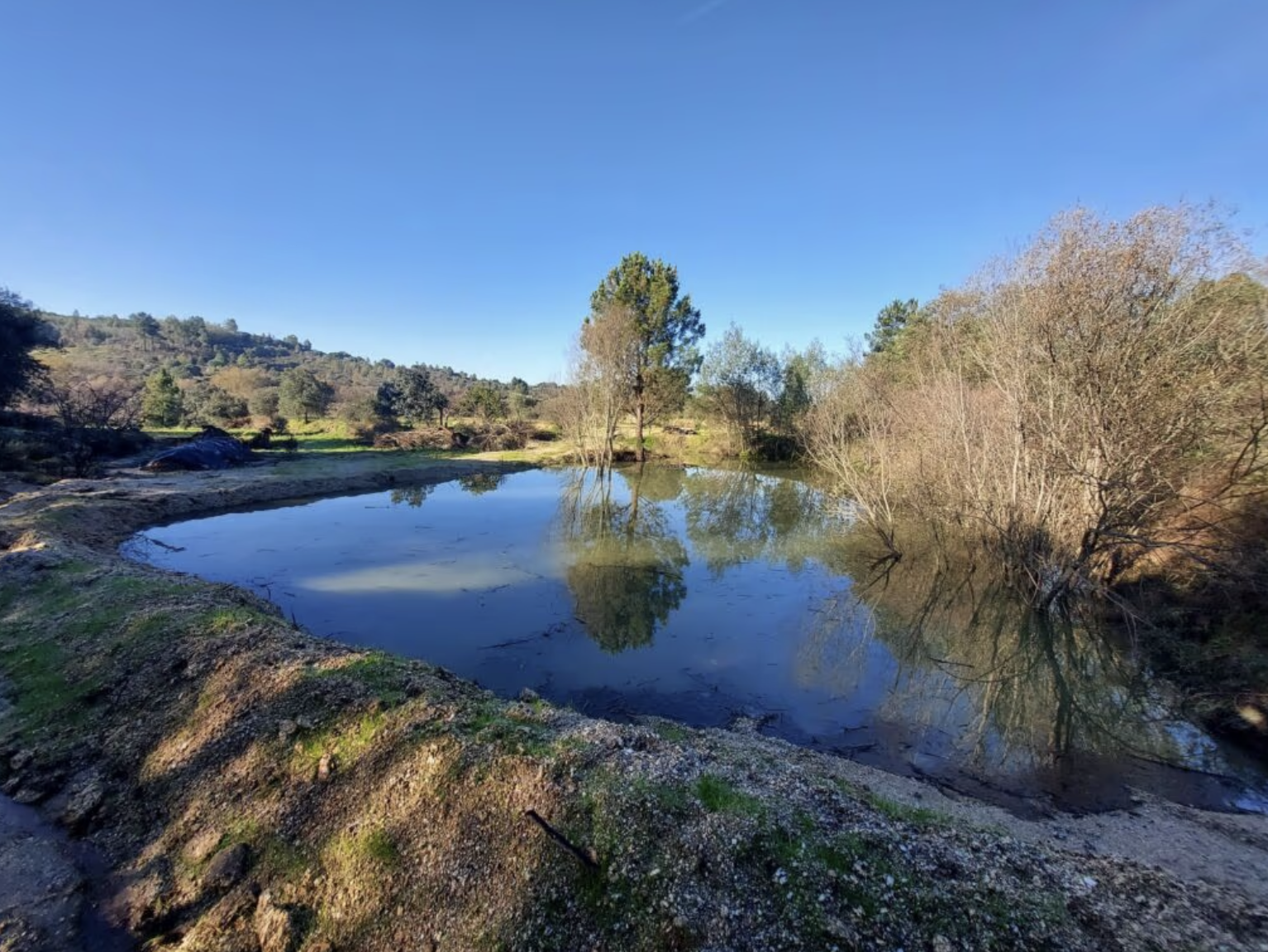 Natural pond on the land