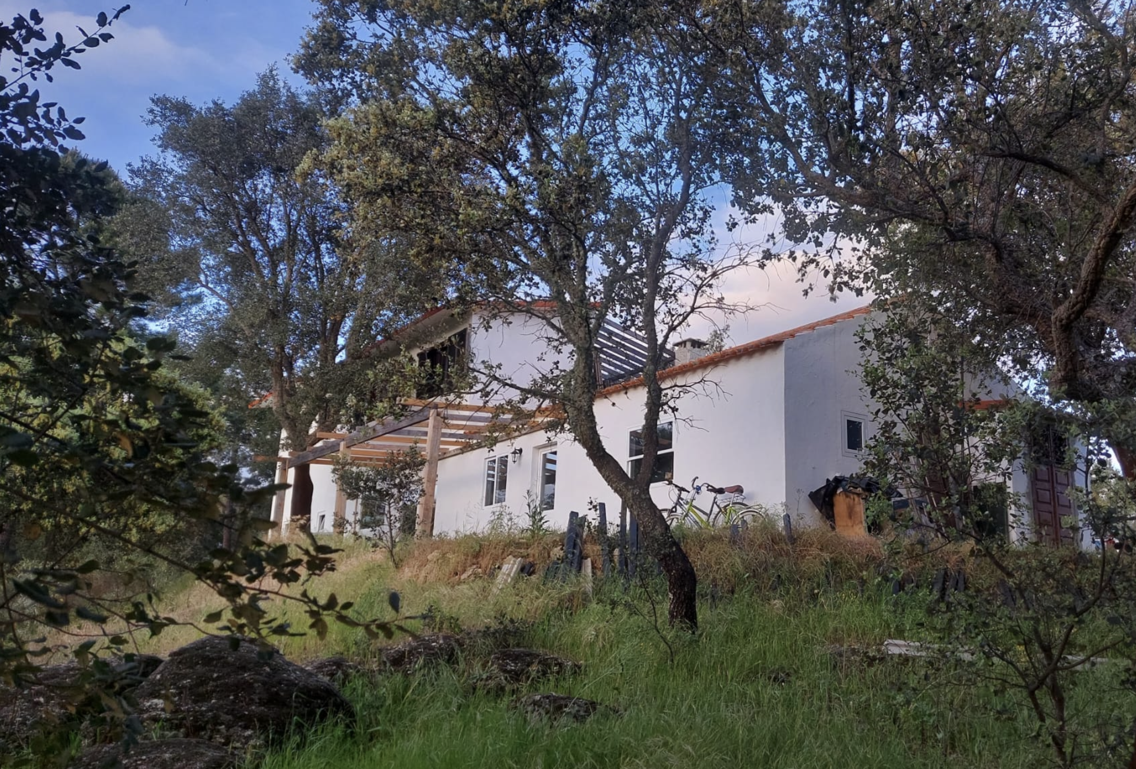The main house among the trees