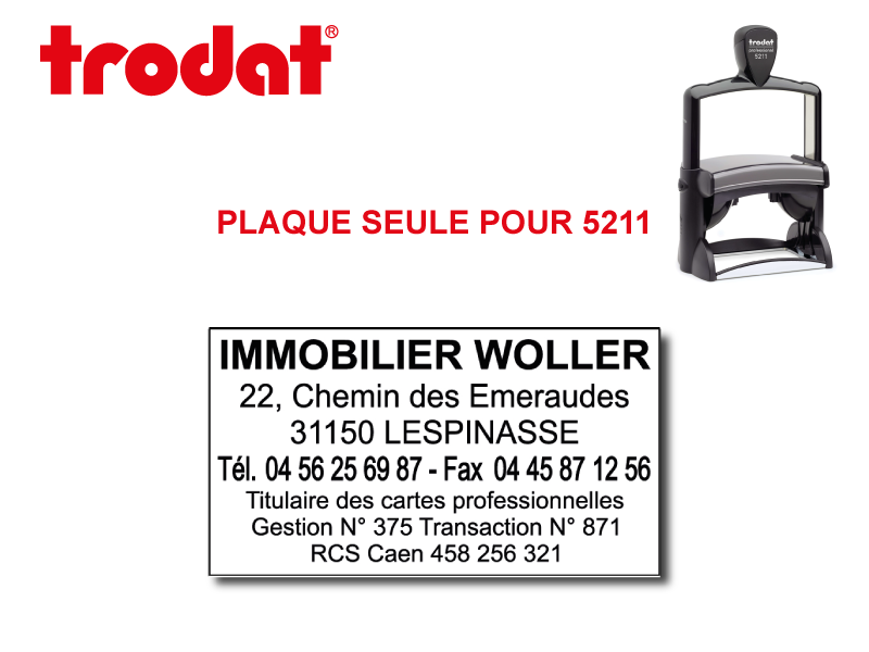 Plaque Professional 5211