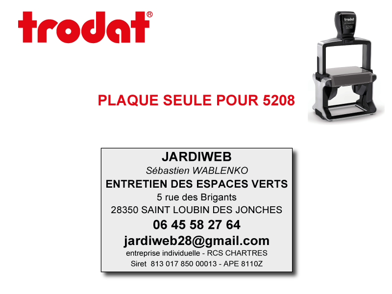 Plaque Professional 5208