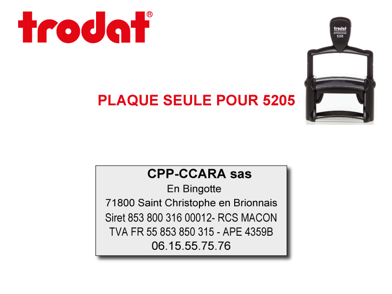 Plaque Professional 5205