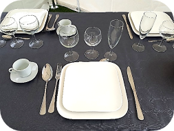 Vaisselle Carrée Moderne