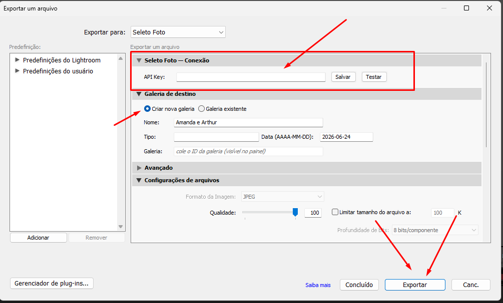 Tela de configuração do plugin com API Key, criar nova galeria e botão Exportar