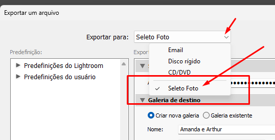 Janela Exportar um arquivo com Seleto Foto selecionado no dropdown