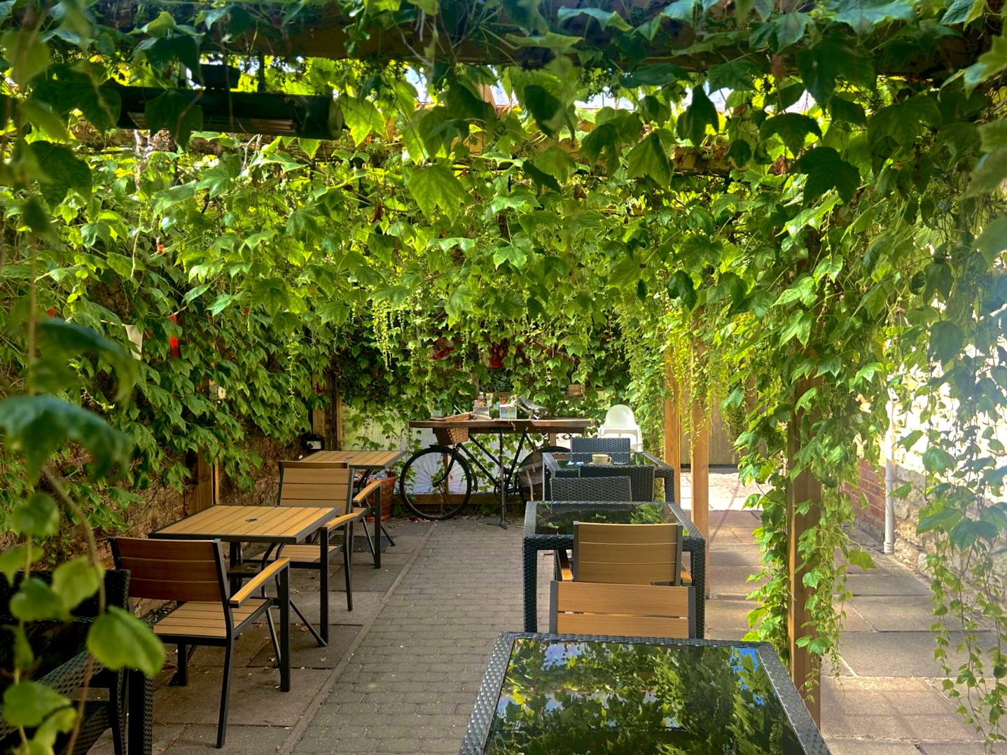 Bean in Stony secret garden with vine-covered outdoor seating