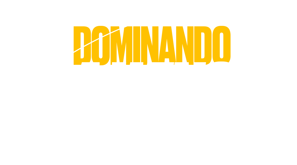 Dominando a WING - Programa de Mentoria