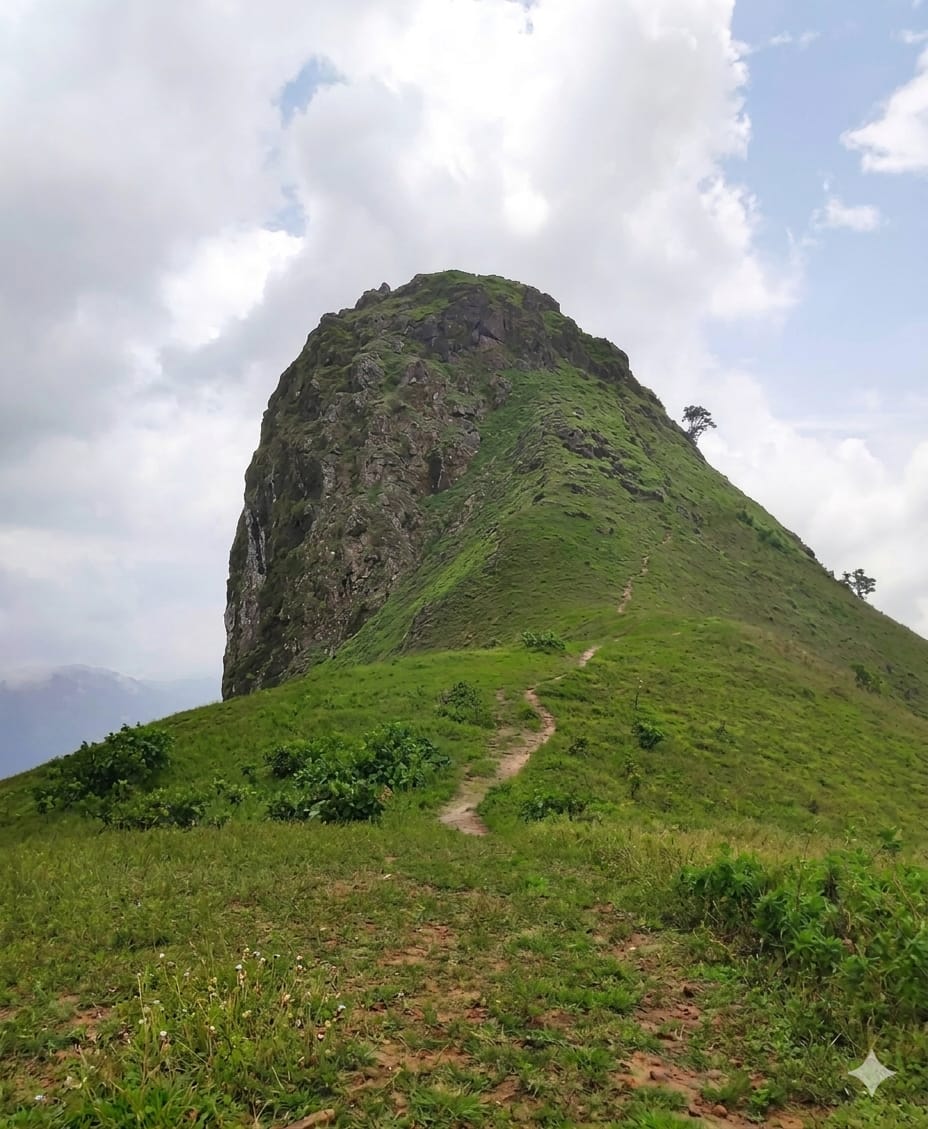 Ettina Bhuja