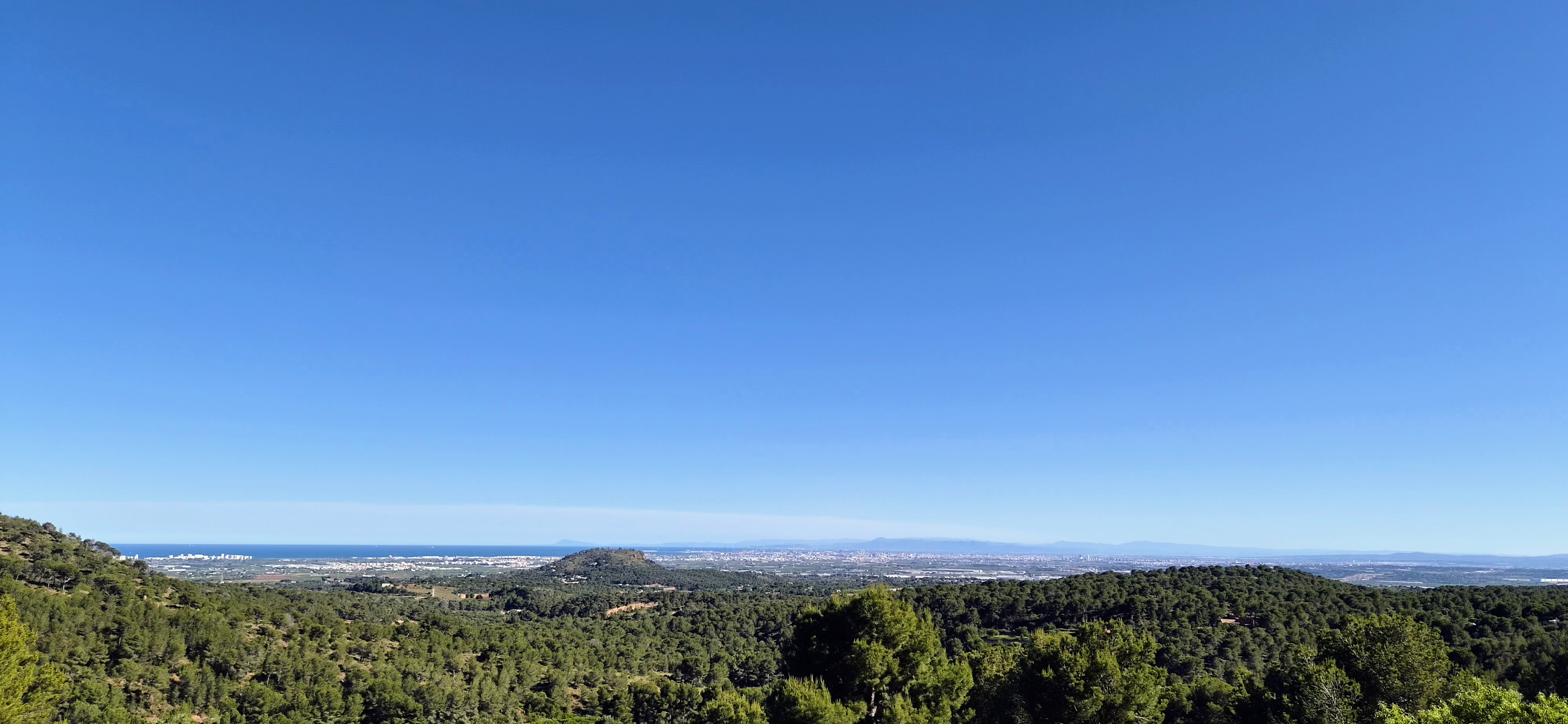 View from the Sky Rooms' 200sqm terrace at Savi Coliving — pine forest, Valencia, and the Mediterranean