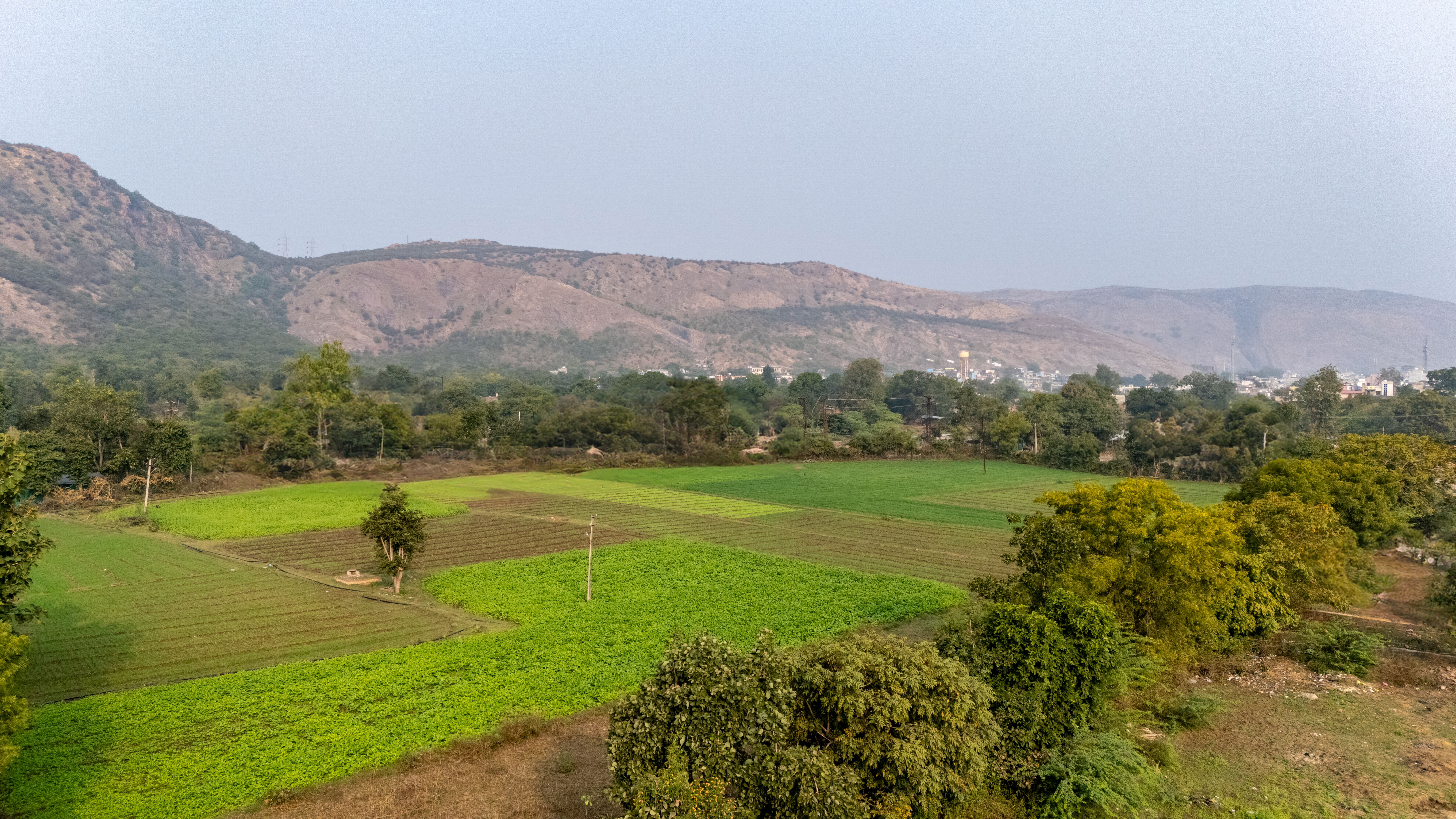 Complete Ranthambore Explorer