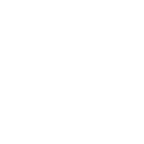 Hamptons International Film Festival