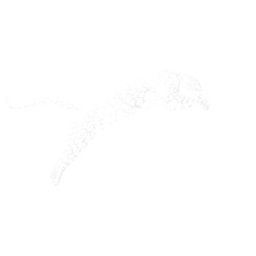Locarno Film Festival