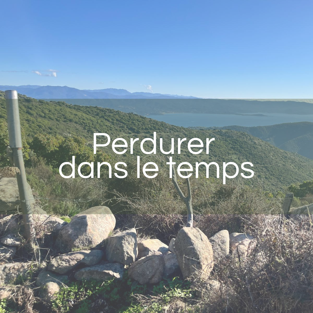 Perdurer dans le temps